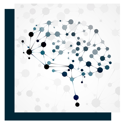 Brain+Illustration
